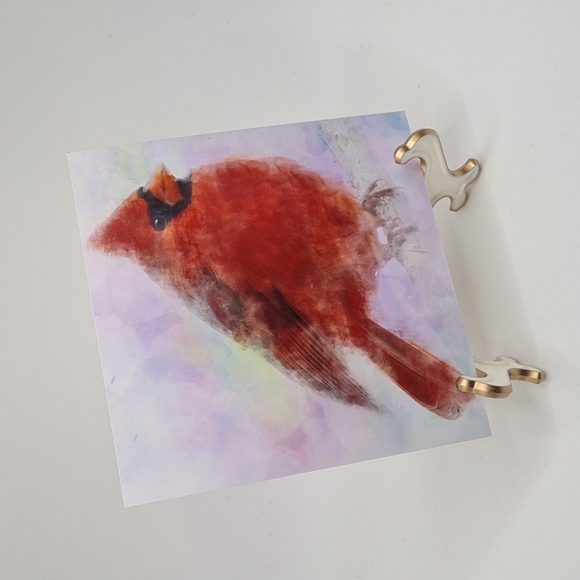 4x4 Chubby Northern Red Cardinal Watercolor Illustration‎ Art Painting Print - Picture 4 of 4